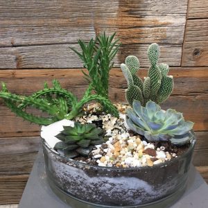 Cactus Terrarium Planter